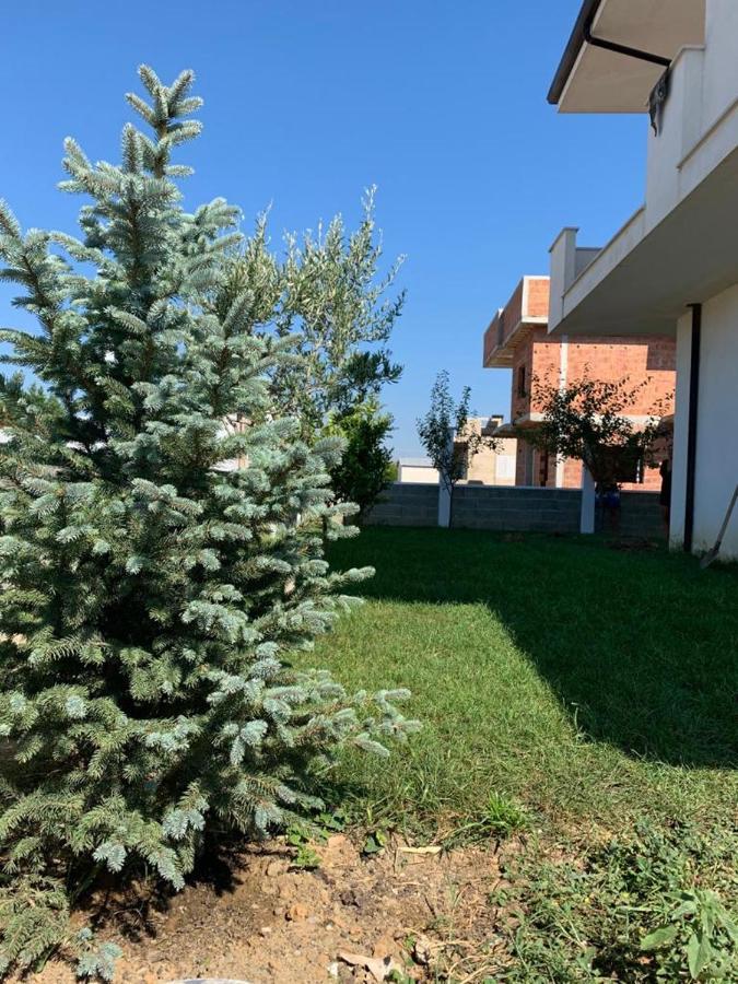 The Quiet Place Hamallaj Exterior photo